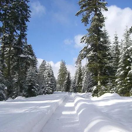 Schwarzwald Stuble